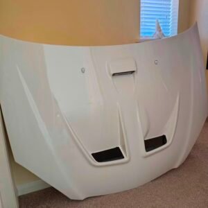 Mugen bonnet DC5